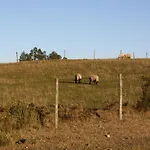 Cabana Aroma De Campo