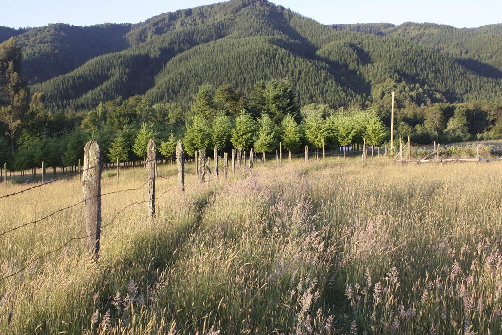 Aroma De Campo Villarrica