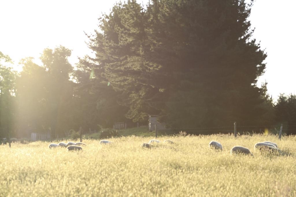 Casa de férias Aroma De Campo Villarrica
