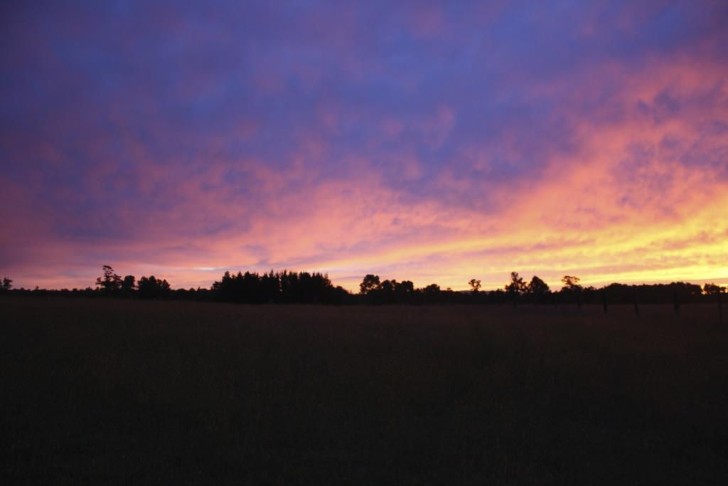 Aroma De Campo Casa de férias Villarrica