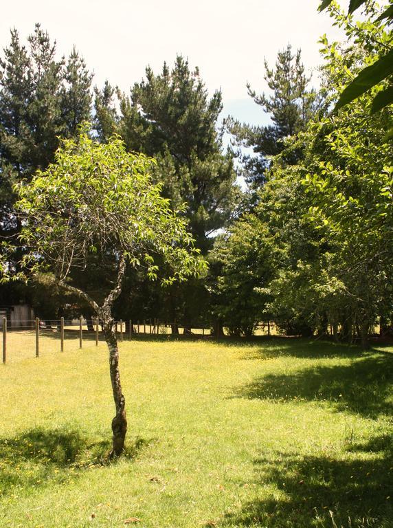 Aroma De Campo