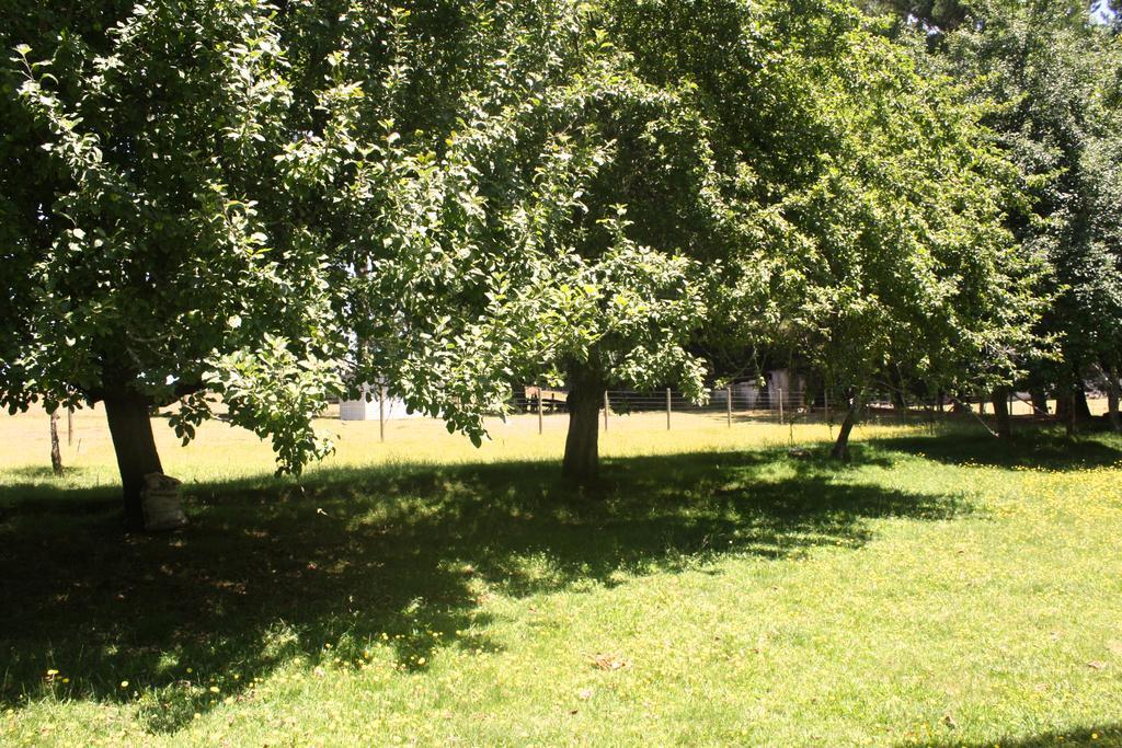 Casa de férias Aroma De Campo *