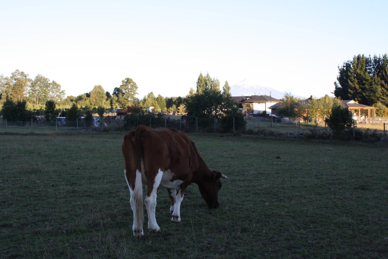 Aroma De Campo *