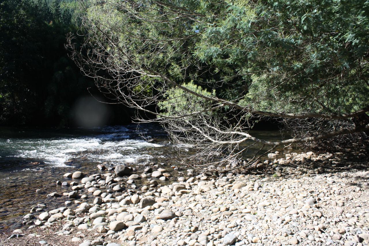 Aroma De Campo Villarrica